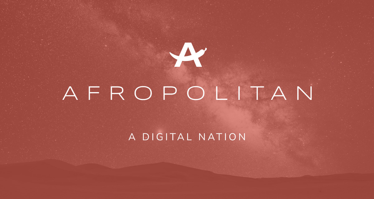 Afropolitan: A Digital Nation